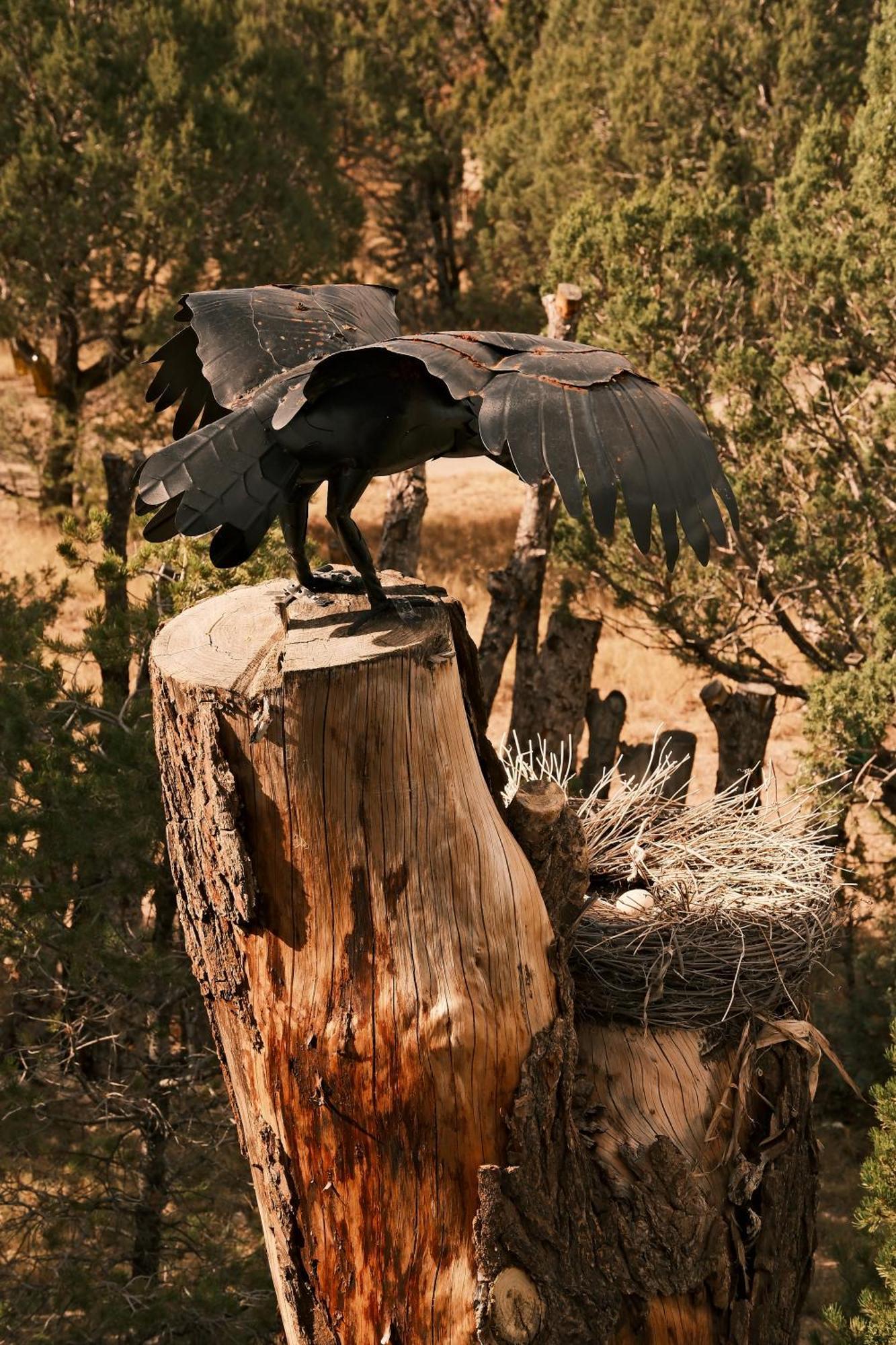 Crows Nest Treehouse At El Mstico Ranch Βίλα Nogal Εξωτερικό φωτογραφία