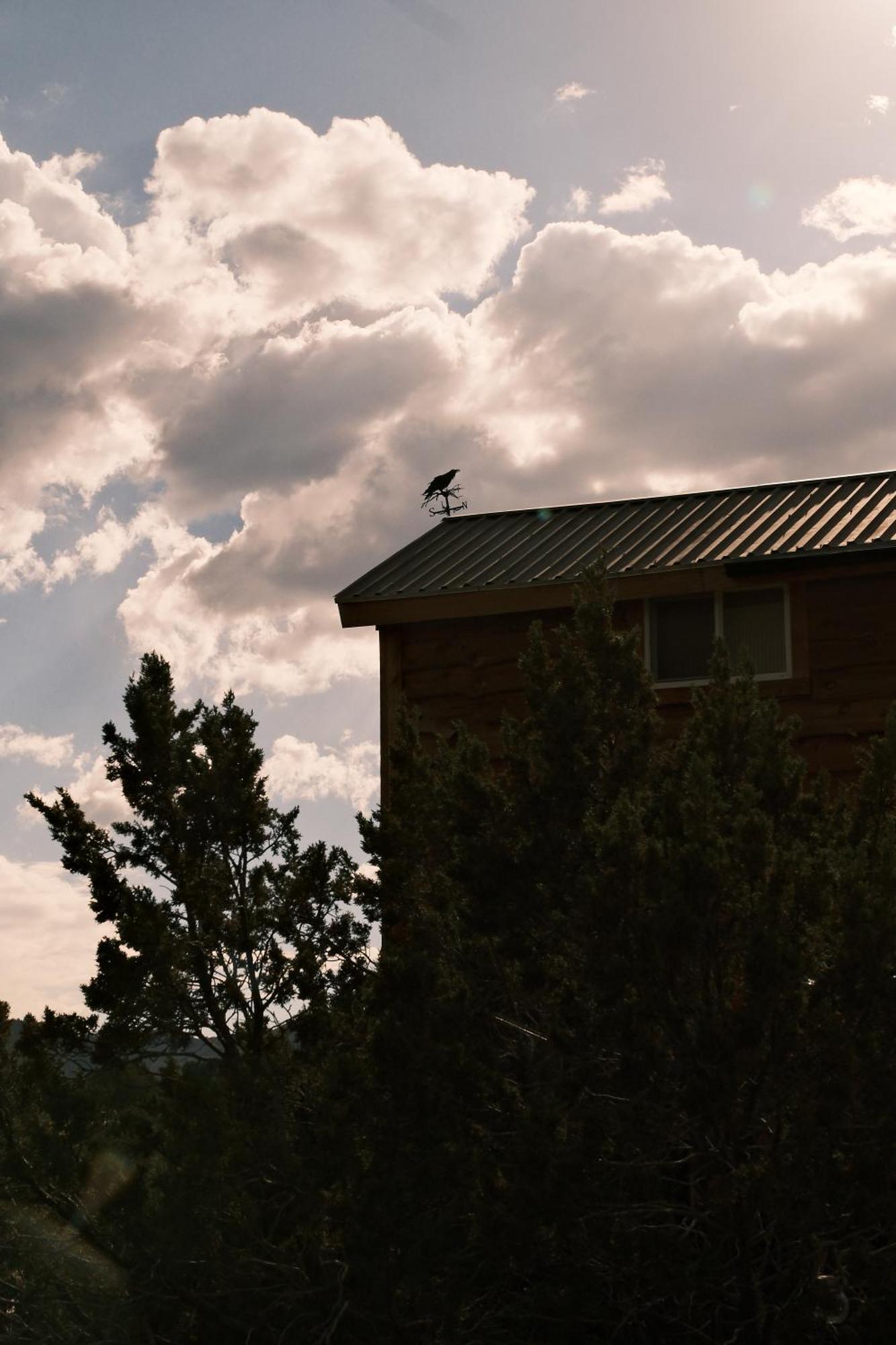Crows Nest Treehouse At El Mstico Ranch Βίλα Nogal Εξωτερικό φωτογραφία
