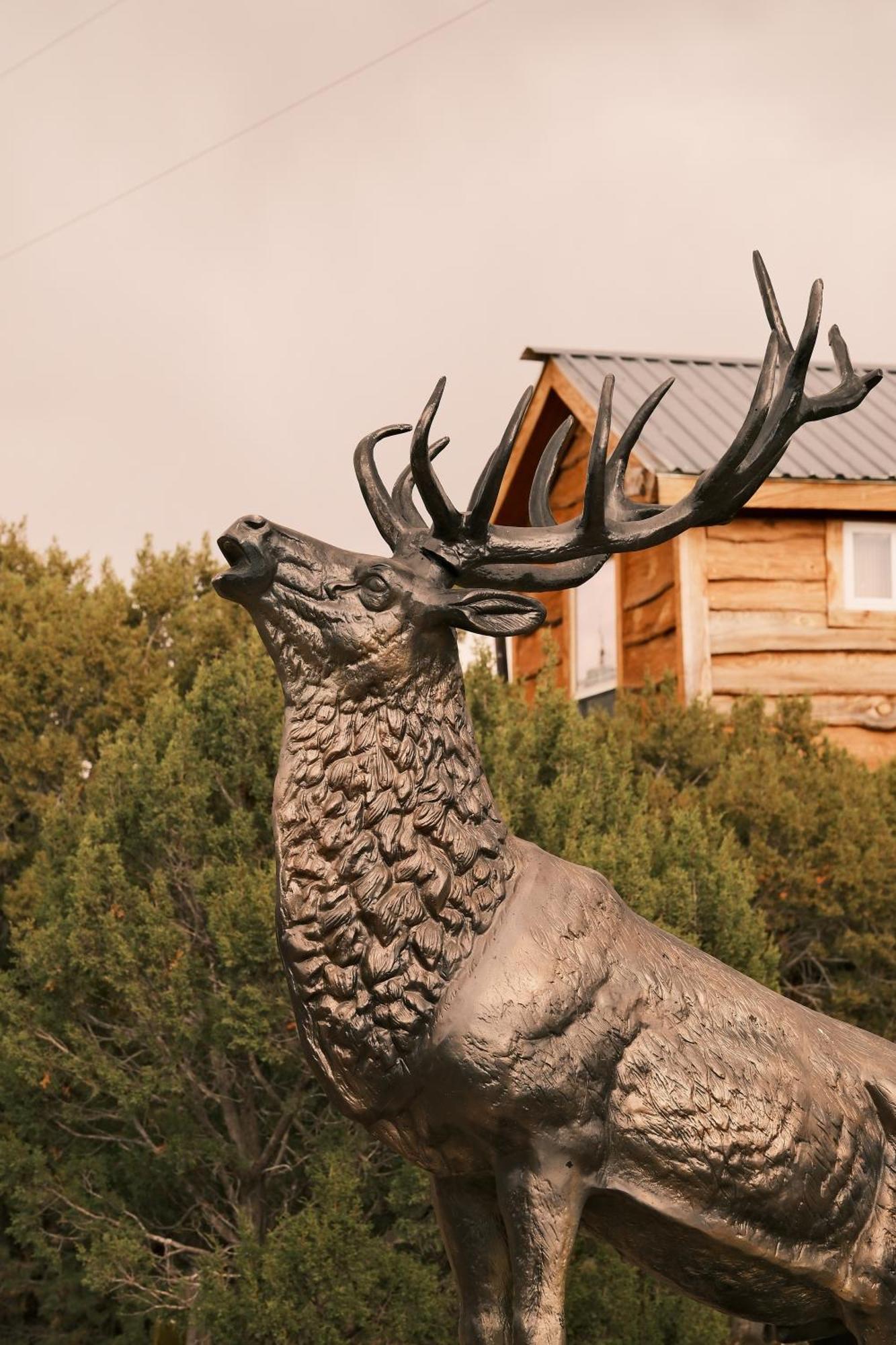 Crows Nest Treehouse At El Mstico Ranch Βίλα Nogal Εξωτερικό φωτογραφία